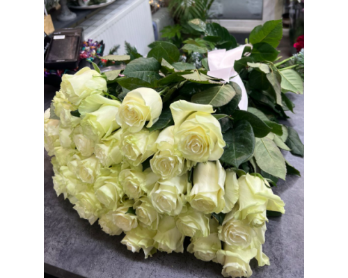 Роза Мондиаль 70см