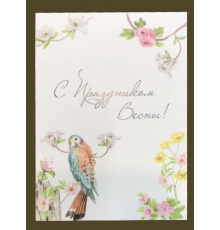 Открытка 31